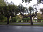 2014-09-03_19-20-38_IMGP0715.jpg