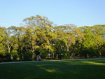 2014-09-04_18-07-58_S0175336.jpg