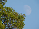 2014-09-04_18-09-02_S0205343.jpg