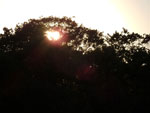 2014-09-04_18-38-51_S0985861.jpg