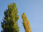 2014-09-06_17-55-11_S0248258.jpg