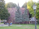 2014-09-06_18-34-41_S0608300.jpg