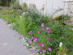 2014-09-06_18-46-29_S0988366.jpg