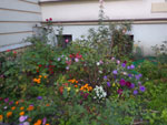2014-09-07_06-20-26_IMGP0722.jpg