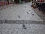 2014-09-07_06-22-05_IMGP0725.jpg