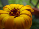 2014-09-07_16-49-13_IMGP0767.jpg