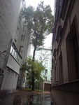 2014-09-14_13-40-59_IMGP0962.jpg