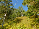 2014-09-16_10-15-11_S0421285.jpg