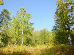 2014-09-16_10-18-47_S0501294.jpg