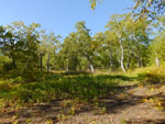 2014-09-16_10-19-59_S0521296.jpg