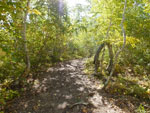 2014-09-16_10-38-02_S0801381.jpg