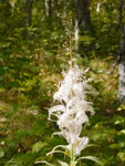 2014-09-16_10-46-32_S0891393.jpg