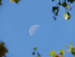 2014-09-16_10-48-35_S0911398.jpg