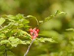 2014-09-16_10-49-21_S0931403.jpg