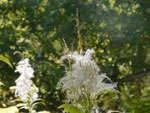 2014-09-16_10-52-03_S0971408.jpg