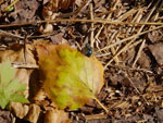 2014-09-16_10-52-28_S0981409.jpg