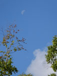 2014-09-16_11-25-03_S0252053.jpg