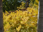 2014-09-16_14-11-29_S0972248.jpg