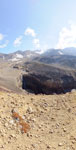 2014-09-17_12-34-19_S0165023-pan.jpg