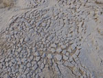 2014-09-17_16-58-57_S0710175.jpg