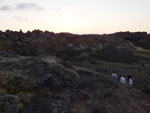 2014-09-17_19-40-57_S0071030.jpg