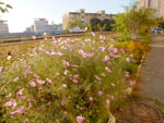 2014-09-20_19-23-03_S0743128.jpg
