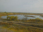 2014-09-22_11-17-40_S0135093.jpg