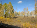 2014-09-22_15-48-34_S0175237.jpg