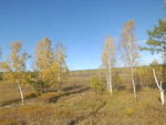2014-09-22_15-50-50_S0195239.jpg