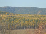2014-09-22_18-28-38_S0615335.jpg
