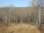 2014-09-22_18-29-48_S0685344.jpg