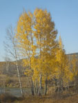 2014-09-22_18-32-10_S0845365.jpg