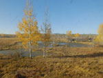Photos