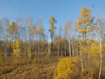 2014-09-22_18-40-56_S0995413.jpg