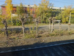 2014-09-25_11-53-43_S0401065.jpg