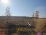 2014-09-25_12-48-32_S0811131.jpg