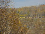 2014-09-25_17-50-58_S0153033.jpg