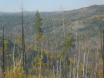 2014-09-25_18-16-59_S0273051.jpg