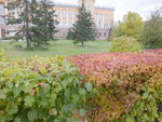 2014-09-26_15-27-14_S0145017.jpg