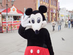 2014-09-26_17-29-18_S0826146.jpg