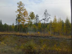 2014-09-27_11-18-42_S0956160.jpg