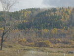 2014-09-27_11-35-09_S0237030.jpg