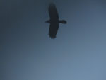 2014-09-27_19-07-13_S0957310.jpg