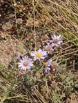 2014-09-28_16-40-06_S0608181.jpg