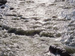 2014-09-28_17-07-58_S0379075.jpg