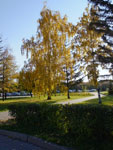 2014-09-28_17-26-04_S0839129.jpg