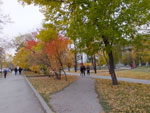 2014-09-29_17-35-44_S0911281.jpg