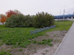 2014-09-29_18-40-28_S0483064.jpg