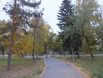 2014-09-30_19-26-23_S0825105.jpg