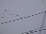 2014-09-30_19-49-36_S0516114.jpg